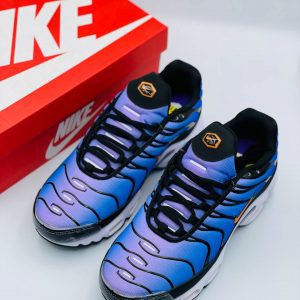 Кроссовки Nike Air Max TN Plus