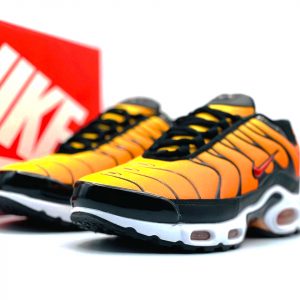 Кроссовки Nike Air Max TN Plus