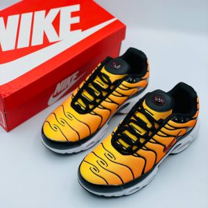 Кроссовки Nike Air Max TN Plus