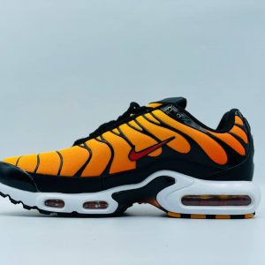 Кроссовки Nike Air Max TN Plus