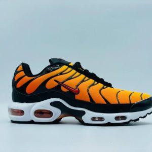 Кроссовки Nike Air Max TN Plus