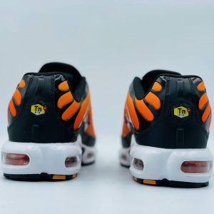 Кроссовки Nike Air Max TN Plus