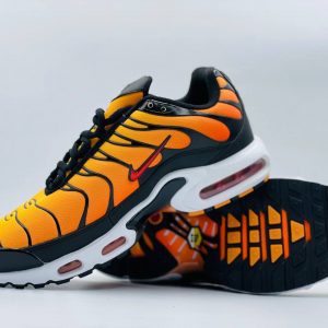 Кроссовки Nike Air Max TN Plus