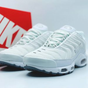 Кроссовки Nike Air Max TN Plus