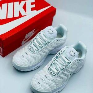 Кроссовки Nike Air Max TN Plus