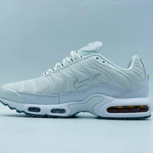 Кроссовки Nike Air Max TN Plus