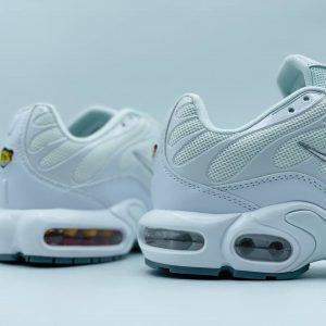 Кроссовки Nike Air Max TN Plus